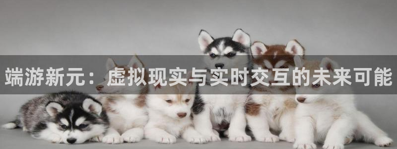 鼎点娱乐app下载地址