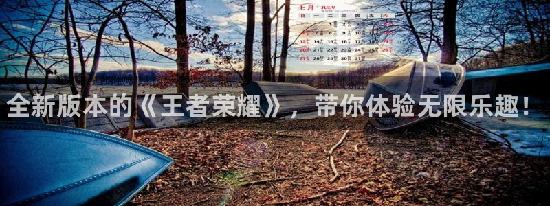 鼎点娱乐什么意思：全新版本的《王者荣耀》，带你体验无限乐趣！