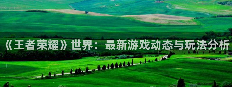 鼎点娱乐平台登录线路：《王者荣耀》世界：最新游戏动态与玩法分