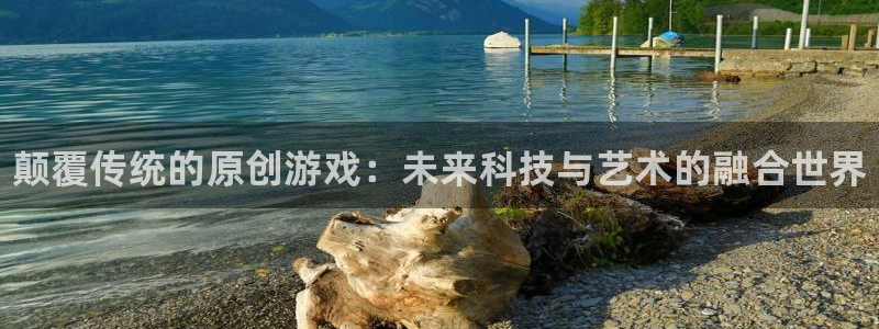 鼎点娱乐平台官网客服电话：颠覆传统的原创游戏：未来科技与艺术