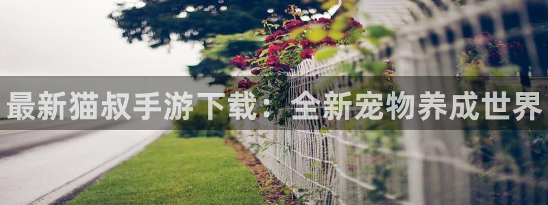 手机鼎点娱乐下载安装：最新猫叔手游下载：全新宠物养成世界