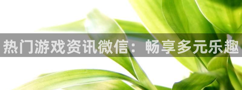 鼎点娱乐平台登录入口：热门游戏资讯微信：畅享多元乐趣