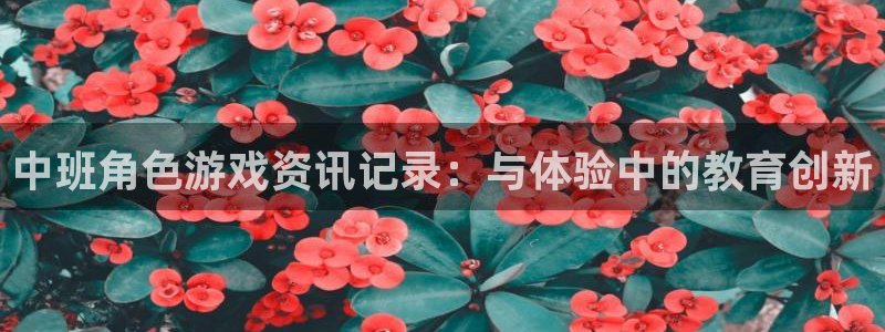 鼎点娱乐测速登陆：中班角色游戏资讯记录：与体验中的教育创新