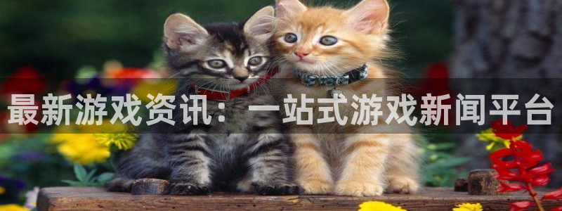 鼎点娱乐app下载：最新游戏资讯：一站式游戏新闻平台