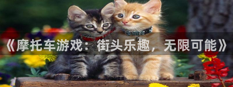鼎点娱乐线路测试：《摩托车游戏：街头乐趣，无限可能》