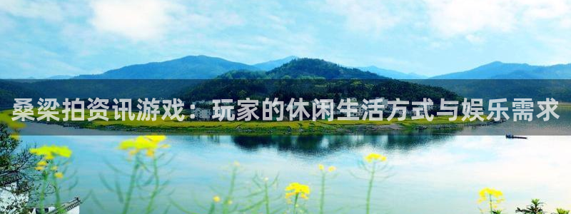 鼎点娱乐平台：桑梁拍资讯游戏：玩家的休闲生活方式与娱乐需求