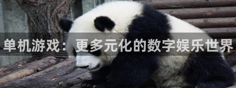 鼎点娱乐注册登录：单机游戏：更多元化的数字娱乐世界