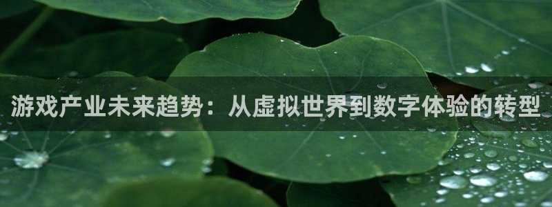鼎点娱乐官方平台：游戏产业未来趋势：从虚拟世界到数字体验的转