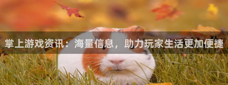 鼎点娱乐平台登陆：掌上游戏资讯：海量信息，助力玩家生活更加便