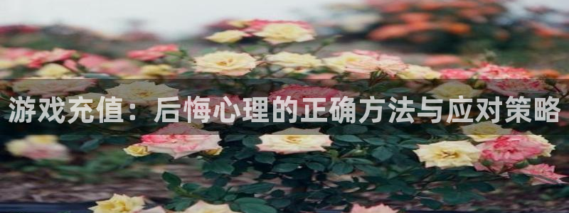 鼎点娱乐app最新版本是多少：游戏充值：后悔心理的正确方法与